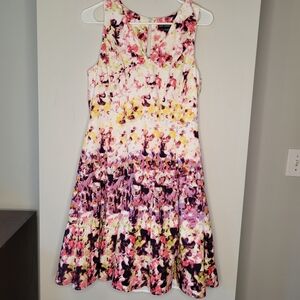 Maggy London Floral Fit & Flare Dress Sleeveless Multicolor Women’s 8